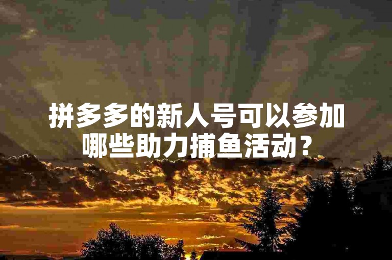 拼多多的新人号可以参加哪些助力捕鱼活动？