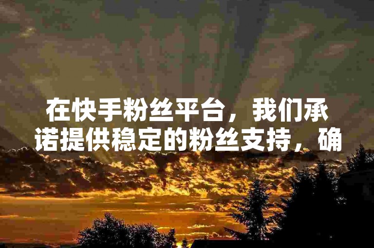 在快手粉丝平台，我们承诺提供稳定的粉丝支持，确保您的账号永不掉粉。