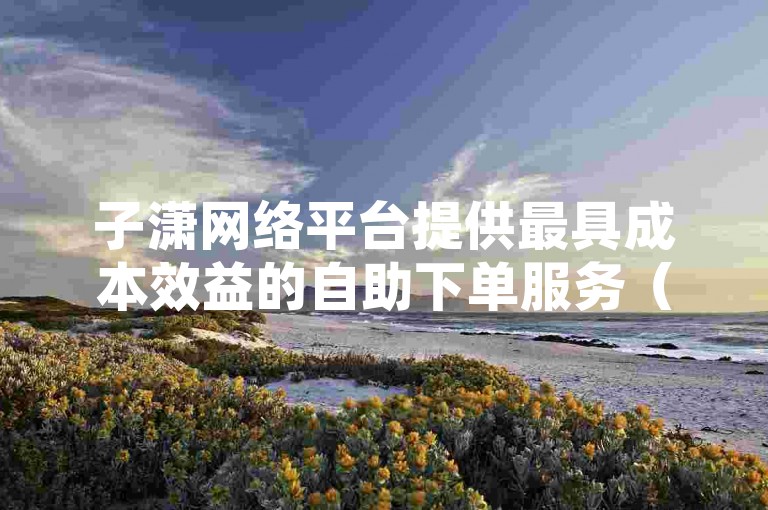 子潇网络平台提供最具成本效益的自助下单服务（探索潇网络自助下单，享受最经济的选择策略）。