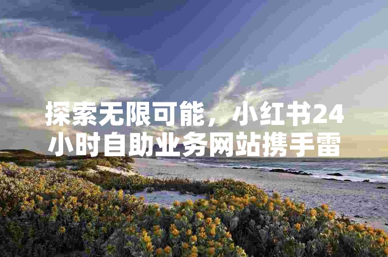 探索无限可能，小红书24小时自助业务网站携手雷神平台，打造不间断的高效服务体验。