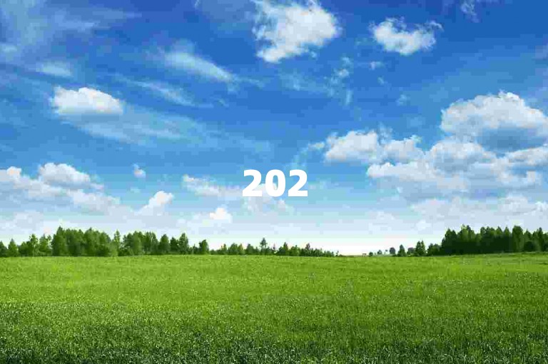 2025年，拼多多助力平台将推出更多创新功能。