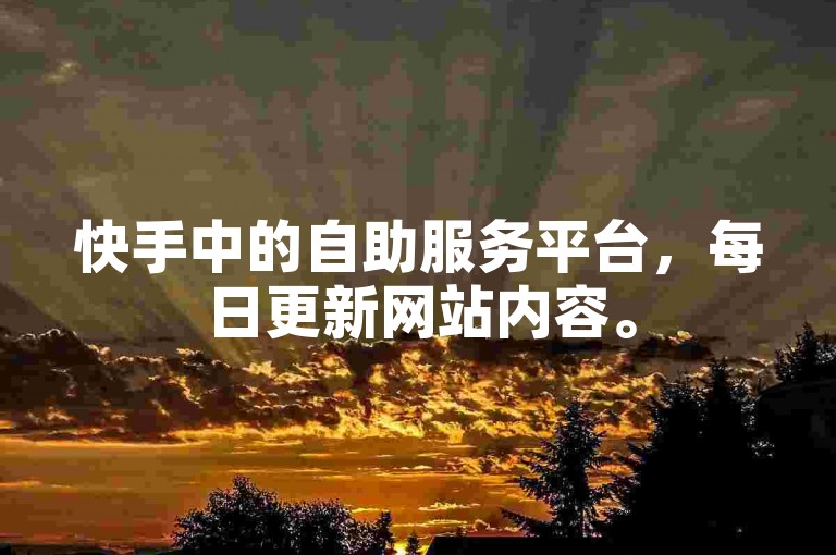 快手中的自助服务平台，每日更新网站内容。