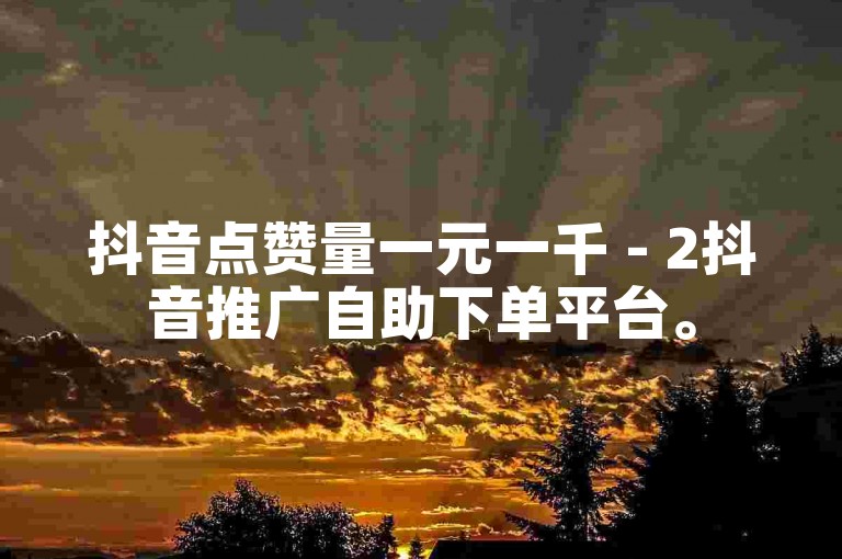 抖音点赞量一元一千 - 2抖音推广自助下单平台。