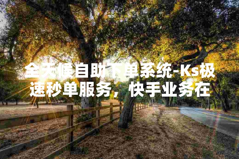 全天候自助下单系统-Ks极速秒单服务，快手业务在线处理平台。