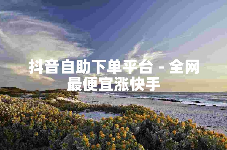 抖音自助下单平台 - 全网最便宜涨快手