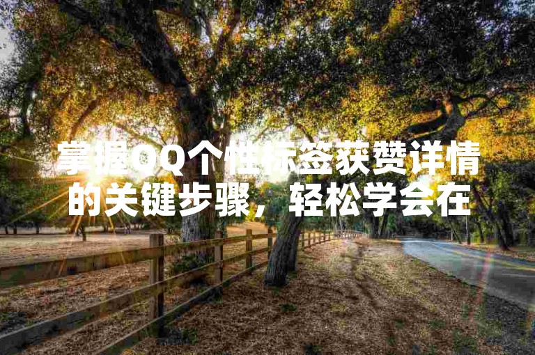 掌握QQ个性标签获赞详情的关键步骤，轻松学会在QQ中查看谁为你的个性标签点赞！新手必知！