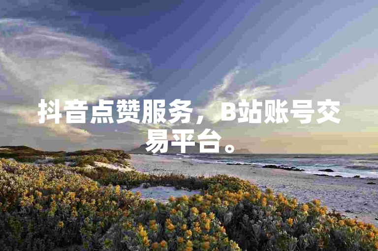 抖音点赞服务，B站账号交易平台。