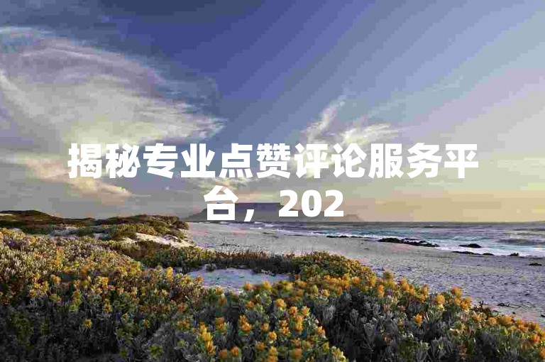 揭秘专业点赞评论服务平台，2025年必备技能，专做点赞与评论的高效服务收录！