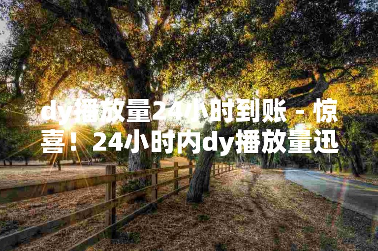 dy播放量24小时到账 - 惊喜！24小时内dy播放量迅速到账！！