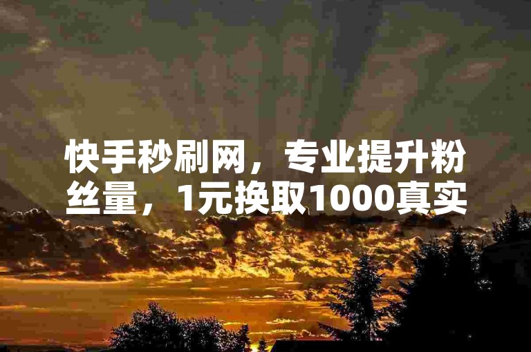 快手秒刷网，专业提升粉丝量，1元换取1000真实活跃粉丝。