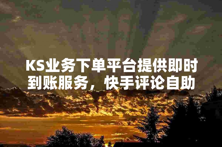 KS业务下单平台提供即时到账服务，快手评论自助平台多样选择 - 自助下单享受全网最低价 - ks24小时免费下单平台。