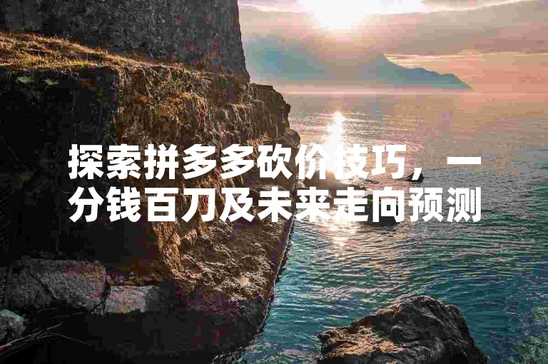 探索拼多多砍价技巧，一分钱百刀及未来走向预测。