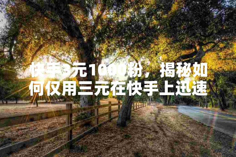 快手3元1000粉，揭秘如何仅用三元在快手上迅速积累千名粉丝的独家技巧！