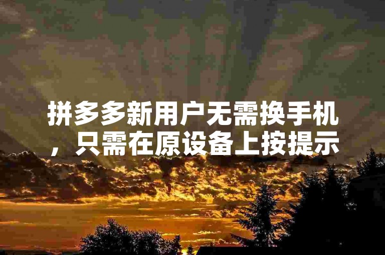拼多多新用户无需换手机，只需在原设备上按提示操作即可完成账号切换或更新。