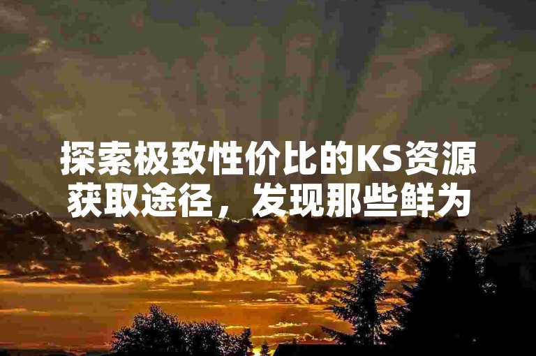 探索极致性价比的KS资源获取途径，发现那些鲜为人知的自助下单宝藏站点。