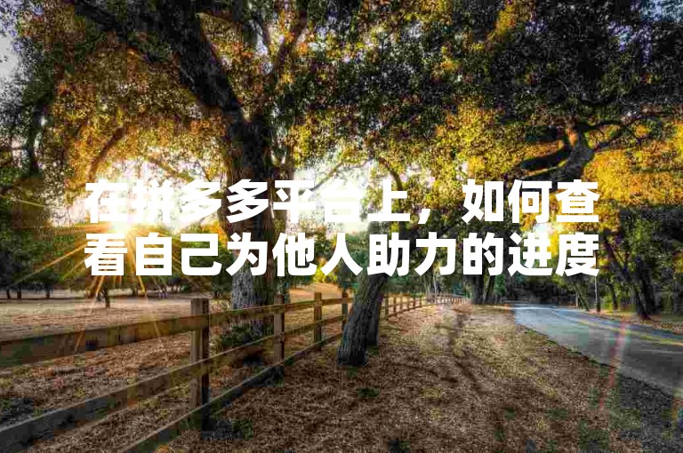 在拼多多平台上，如何查看自己为他人助力的进度？