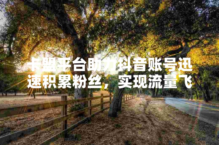 卡盟平台助力抖音账号迅速积累粉丝，实现流量飞跃。