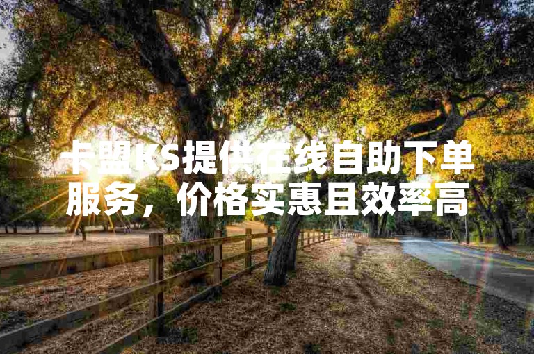 卡盟KS提供在线自助下单服务，价格实惠且效率高，是全新一代的购物体验平台，通过一键下单功能，实现购物过程的便捷与省时。