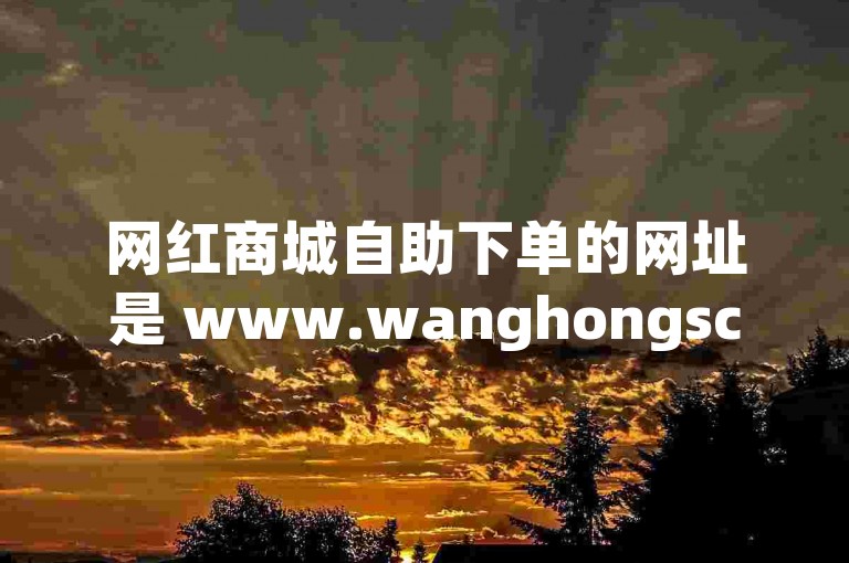 网红商城自助下单的网址是 www.wanghongsc.com。
