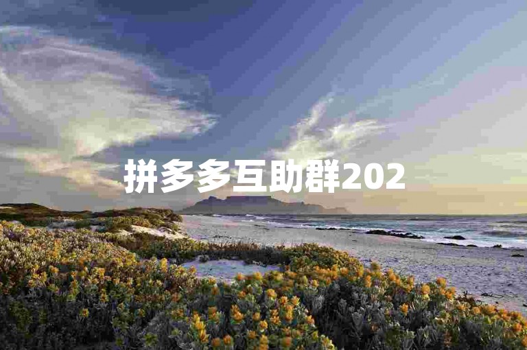 拼多多互助群2025最新版微信群{多多助力工具}
