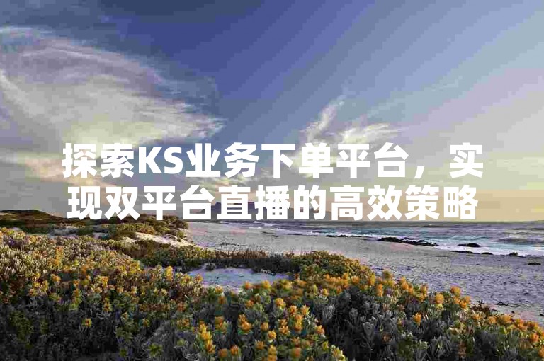 探索KS业务下单平台，实现双平台直播的高效策略 - 利用免费精准引流软件提升流量 - 快手买站特惠，仅需05元即可获得100个粉丝关注。