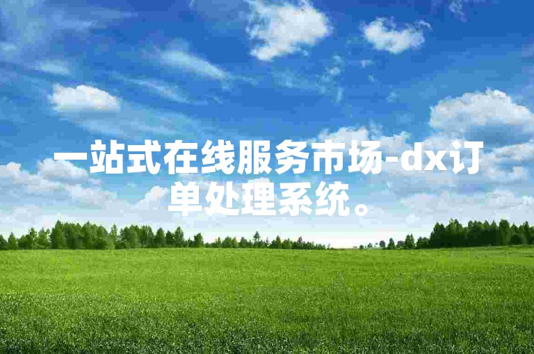 一站式在线服务市场-dx订单处理系统。