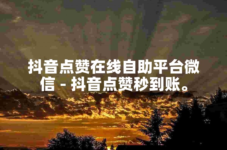 抖音点赞在线自助平台微信 - 抖音点赞秒到账。