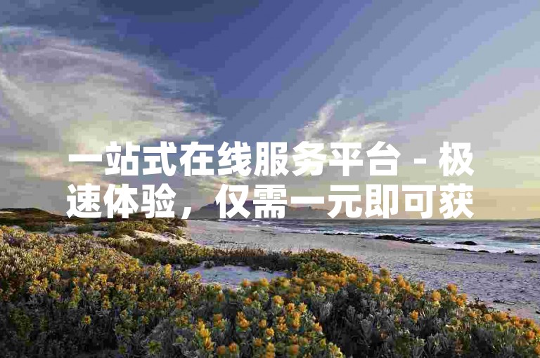 一站式在线服务平台 - 极速体验，仅需一元即可获得1000次点赞的即时服务软件。