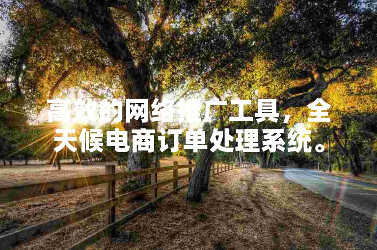 高效的网络推广工具，全天候电商订单处理系统。
