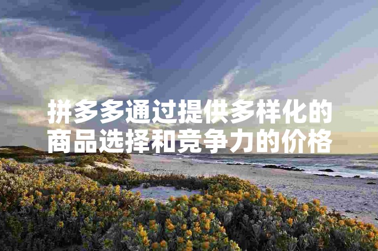 拼多多通过提供多样化的商品选择和竞争力的价格策略，为创业者和小企业主开辟了成功之路。