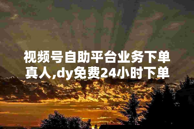 视频号自助平台业务下单真人,dy免费24小时下单平台便宜 - dy播放量24小时到账 - 筷兽刷不掉粉