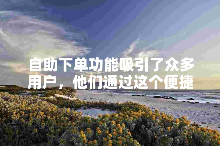 自助下单功能吸引了众多用户，他们通过这个便捷的服务轻松提升了说说的浏览量。