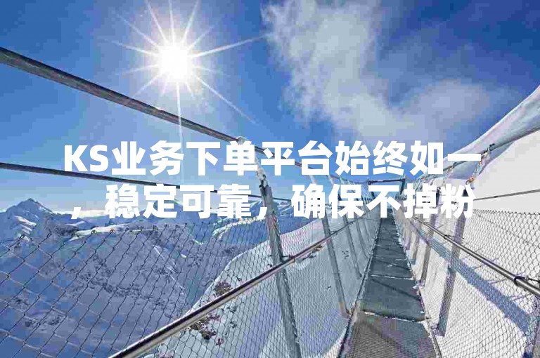 KS业务下单平台始终如一，稳定可靠，确保不掉粉。