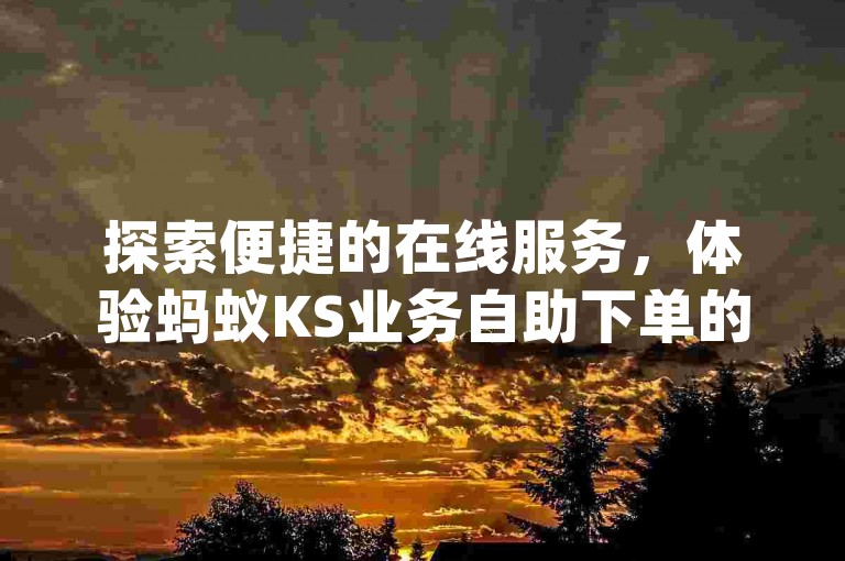 探索便捷的在线服务，体验蚂蚁KS业务自助下单的高效与铭云dy业务自助下单的便捷。