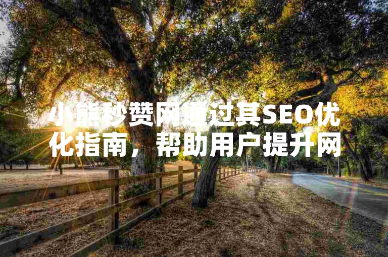 小熊秒赞网通过其SEO优化指南，帮助用户提升网站在搜索引擎中的排名。