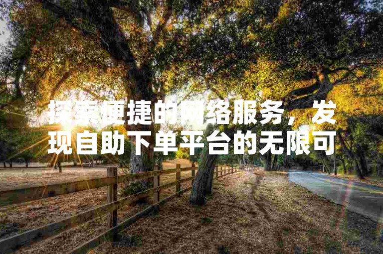 探索便捷的网络服务，发现自助下单平台的无限可能。