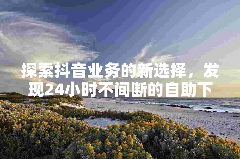 探索抖音业务的新选择，发现24小时不间断的自助下单服务。