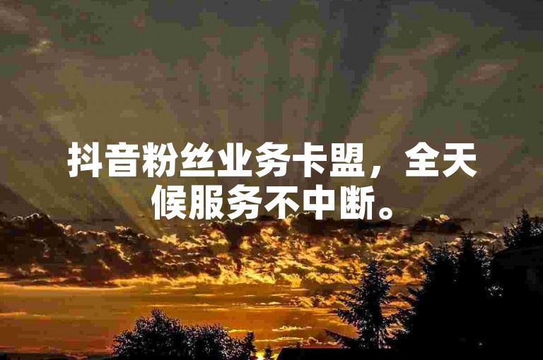 抖音粉丝业务卡盟，全天候服务不中断。