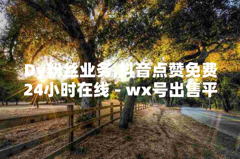 Dy粉丝业务,抖音点赞免费24小时在线 - wx号出售平台网 - ks自助下单便宜