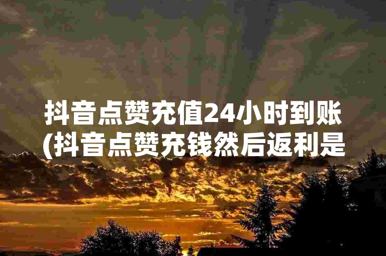 抖音点赞充值24小时到账(抖音点赞充钱然后返利是真的吗)