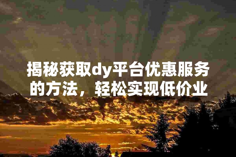 揭秘获取dy平台优惠服务的方法，轻松实现低价业务下单。