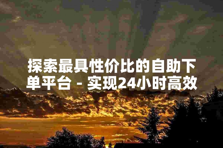 探索最具性价比的自助下单平台 - 实现24小时高效订单处理的理想选择。