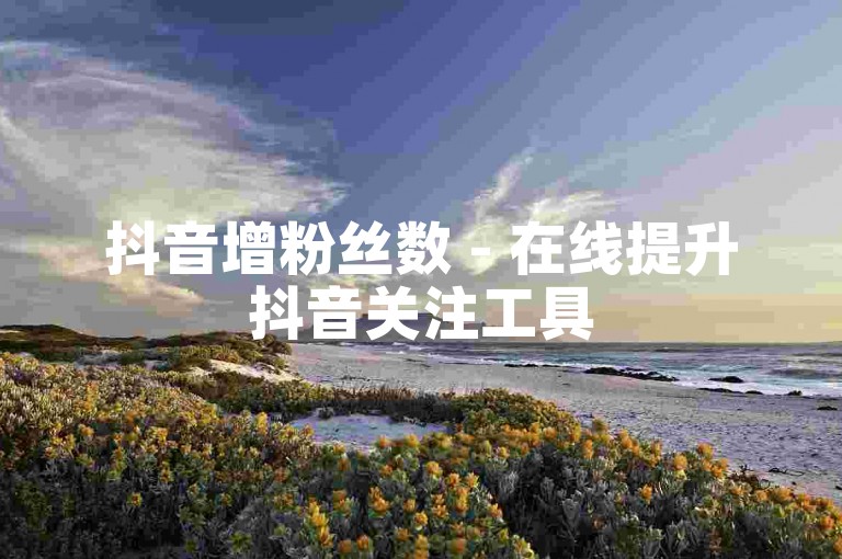 抖音增粉丝数 - 在线提升抖音关注工具