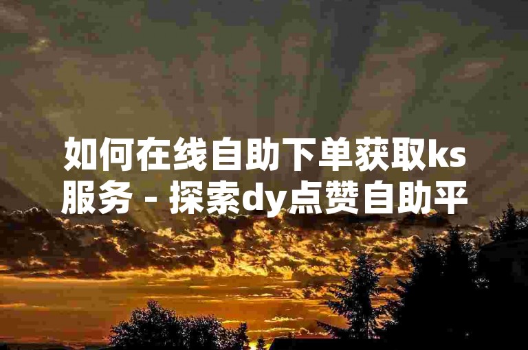 如何在线自助下单获取ks服务 - 探索dy点赞自助平台的优惠途径