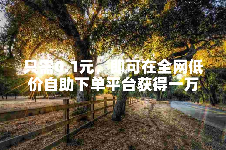 只需0.1元，即可在全网低价自助下单平台获得一万赞。