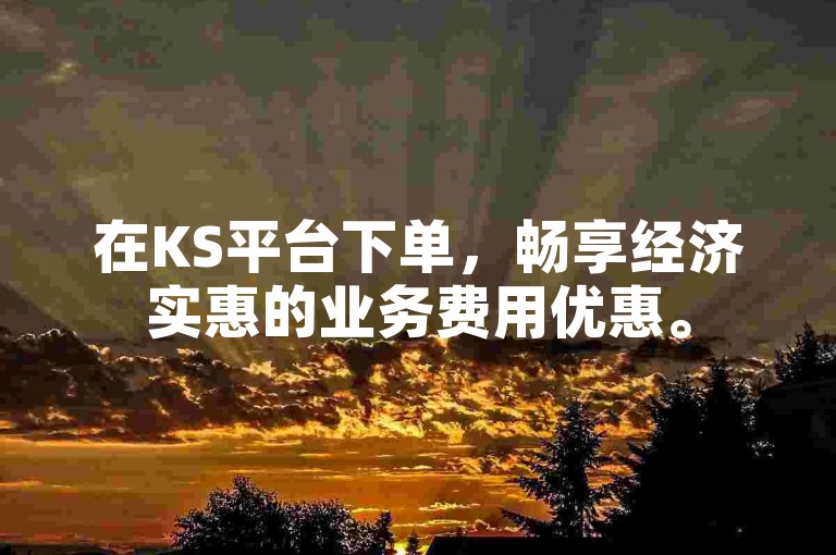 在KS平台下单，畅享经济实惠的业务费用优惠。