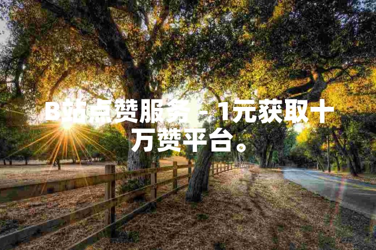 B站点赞服务 - 1元获取十万赞平台。