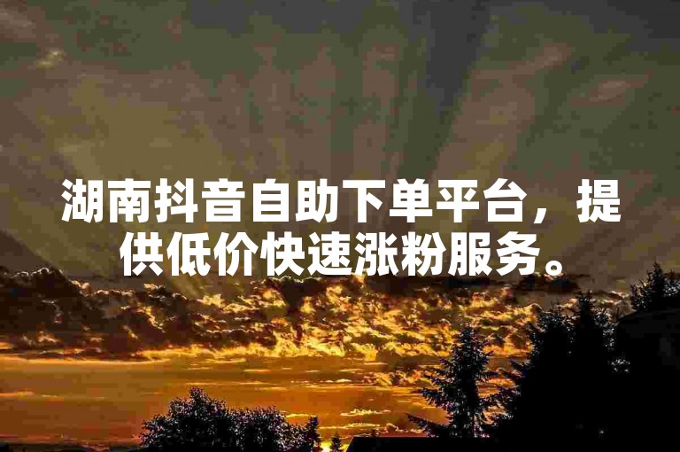 湖南抖音自助下单平台，提供低价快速涨粉服务。