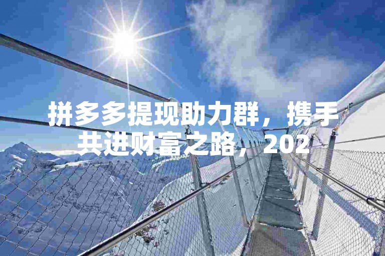 拼多多提现助力群，携手共进财富之路，2025年一同铸就辉煌。