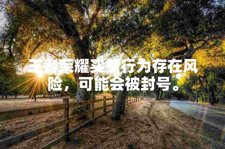 王者荣耀买赞行为存在风险，可能会被封号。